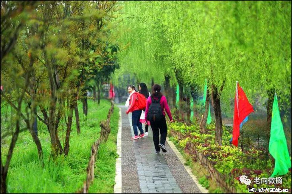 【春天,广西桂林灌阳县向您发出邀请!】江口老街又逢春 - 游山玩水 - 佛山生活社区 - 佛山28生活网 fs.28life.com
