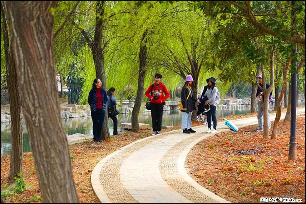 【春天,广西桂林灌阳县向您发出邀请!】江口老街又逢春 - 游山玩水 - 佛山生活社区 - 佛山28生活网 fs.28life.com