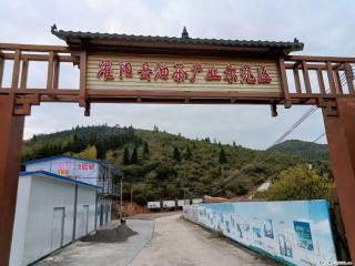 【灌阳县油茶产业示范区】一个有着充实的精神生活的人,对待身外之物自会有一种淡泊的态度 - 佛山28生活网 fs.28life.com