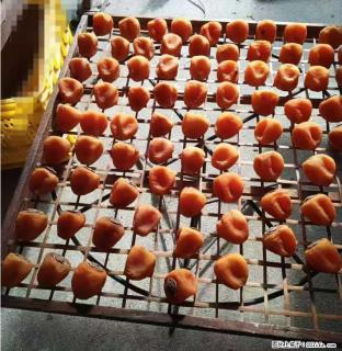 广西桂林平乐桥亭【柿饼之乡】2025年纯手工制作、无任何添加剂的第一批柿饼准备上市了，欢迎联系订购！ - 佛山28生活网 fs.28life.com