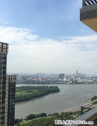 大良新城区 金域滨江 精装修3房 拎包入住 3600元 - 房屋出租 - 房屋租售 - 佛山分类信息 - 佛山28生活网 fs.28life.com