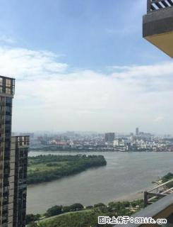 大良新城区 金域滨江 精装修3房 拎包入住 3600元 - 佛山28生活网 fs.28life.com