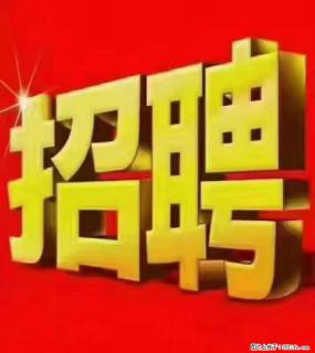 【东莞市威萨电子科技有限公司】公司直招:外贸业务、仓管员、跟单文员、普工 - 佛山28生活网 fs.28life.com