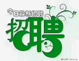 上海青浦区招仓管 - 佛山28生活网 fs.28life.com