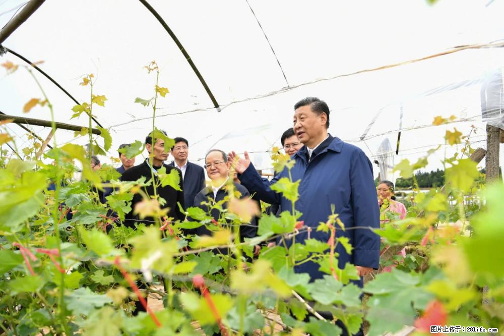 习近平赴广西考察调研 - 佛山生活资讯 - 佛山28生活网 fs.28life.com
