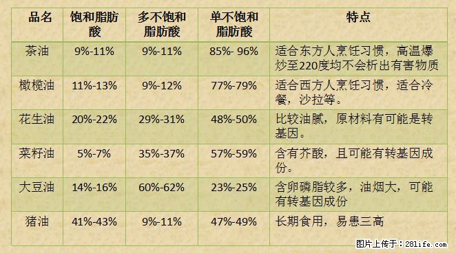 揭秘茶油的5大核心营养成分!被称为人体健康的“守护盾”! - 佛山生活资讯 - 佛山28生活网 fs.28life.com