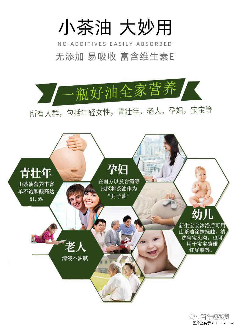 世界没有真相,只有认知,最好的食用油是中国的山茶油! - 佛山生活资讯 - 佛山28生活网 fs.28life.com