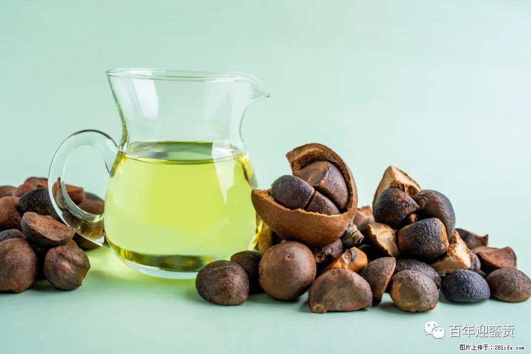 世界没有真相，只有认知，最好的食用油是中国的山茶油！ - 佛山生活资讯 - 佛山28生活网 fs.28life.com
