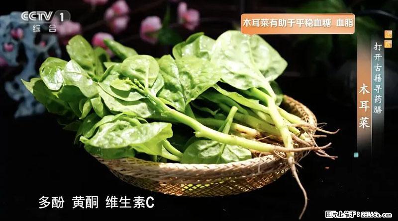 比牛奶补钙还厉害!凉血解毒、稳血糖...这菜冬天必吃,很多人却当草 - 佛山生活资讯 - 佛山28生活网 fs.28life.com