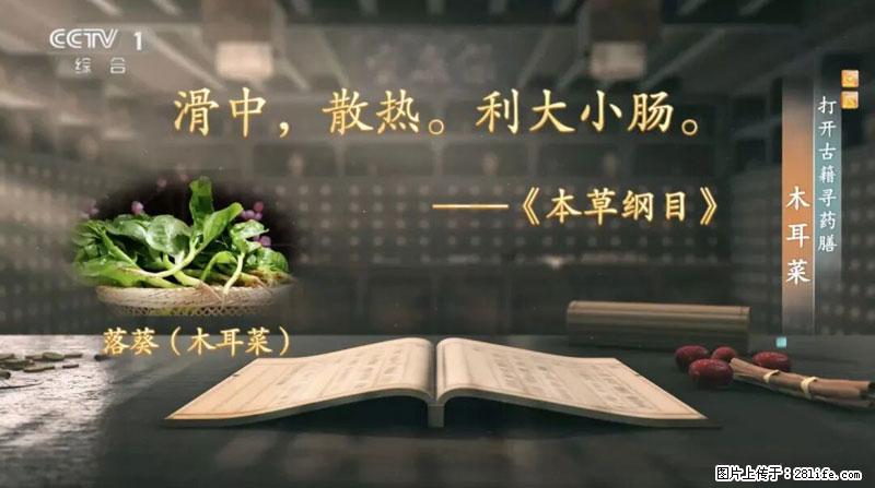 比牛奶补钙还厉害!凉血解毒、稳血糖...这菜冬天必吃,很多人却当草 - 佛山生活资讯 - 佛山28生活网 fs.28life.com