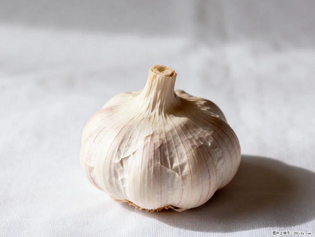 关于大蒜，除了“天然抗生素”，这4个谣言更该警惕! - 佛山生活资讯 - 佛山28生活网 fs.28life.com