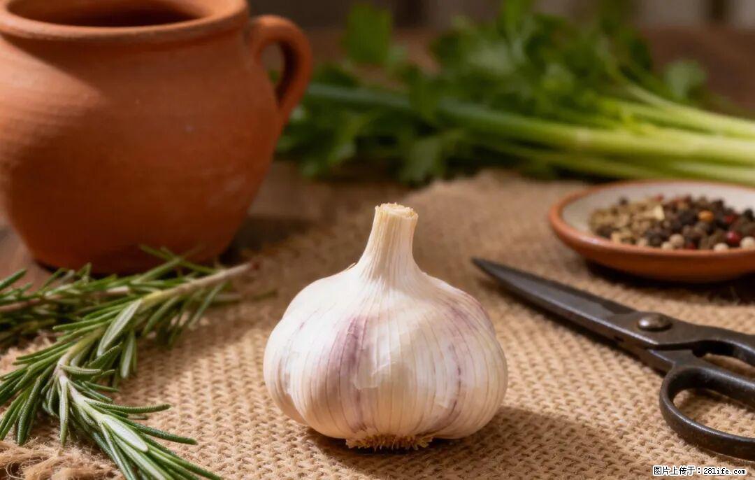 关于大蒜，除了“天然抗生素”，这4个谣言更该警惕! - 佛山生活资讯 - 佛山28生活网 fs.28life.com