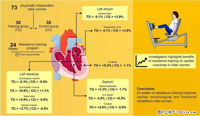 坚持这种运动6个月，心脏有了显著变化！不是跑步，也不是走路 - 佛山生活资讯 - 佛山28生活网 fs.28life.com