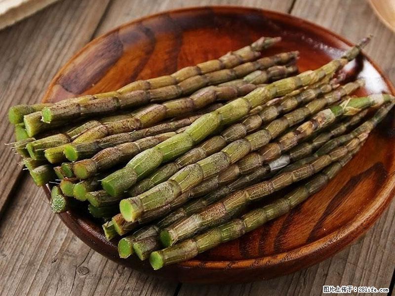 铁皮石斛的作用与功能主治 - 佛山生活资讯 - 佛山28生活网 fs.28life.com